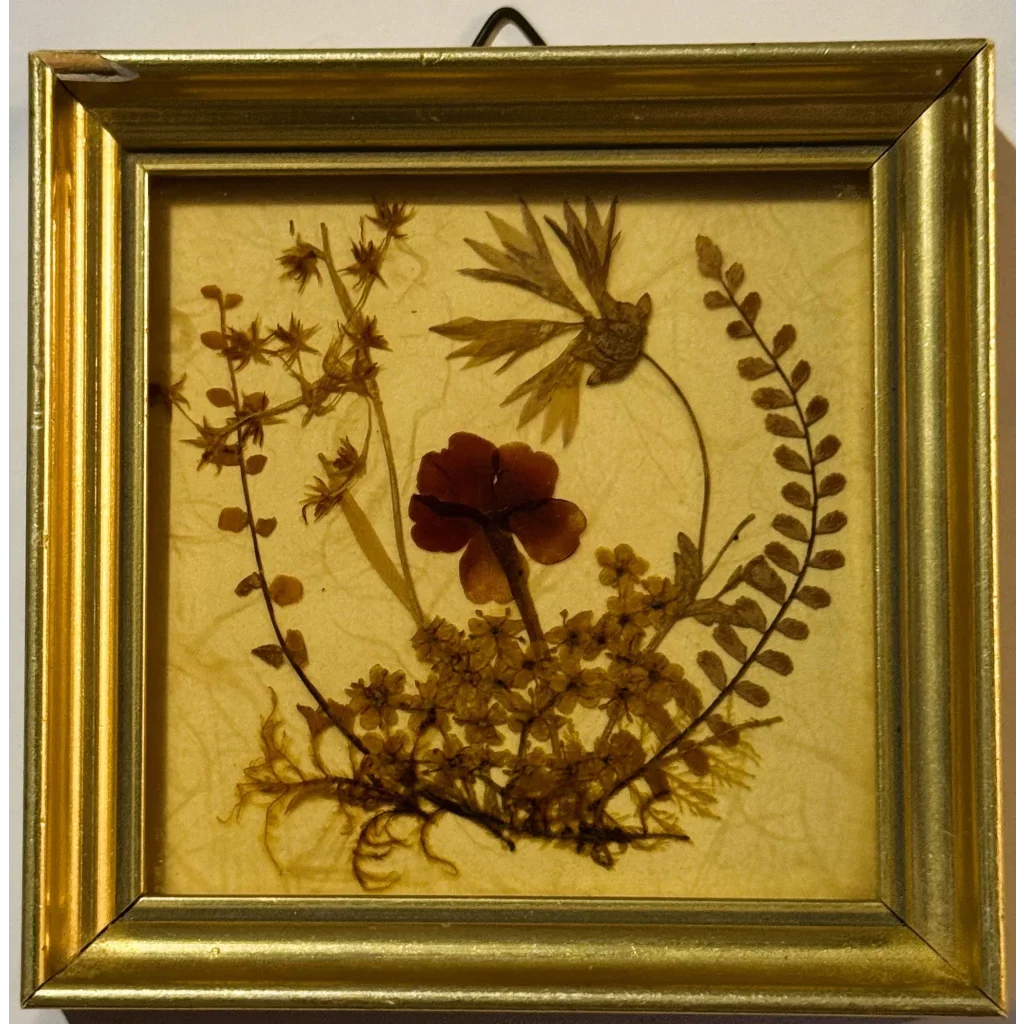Vintage West Germany Dried Flower Art 1972 Framed Botanical Beauty