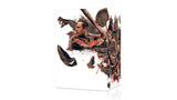The Walking Dead Complete Collection (Seasons 1-11) (Walmart Exclusive - Lootquake