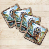 Owl Wooden Cork Coasters Gift Set of 4 by Nature Wonders Nature Wildlife Decor  - 95389C-S4