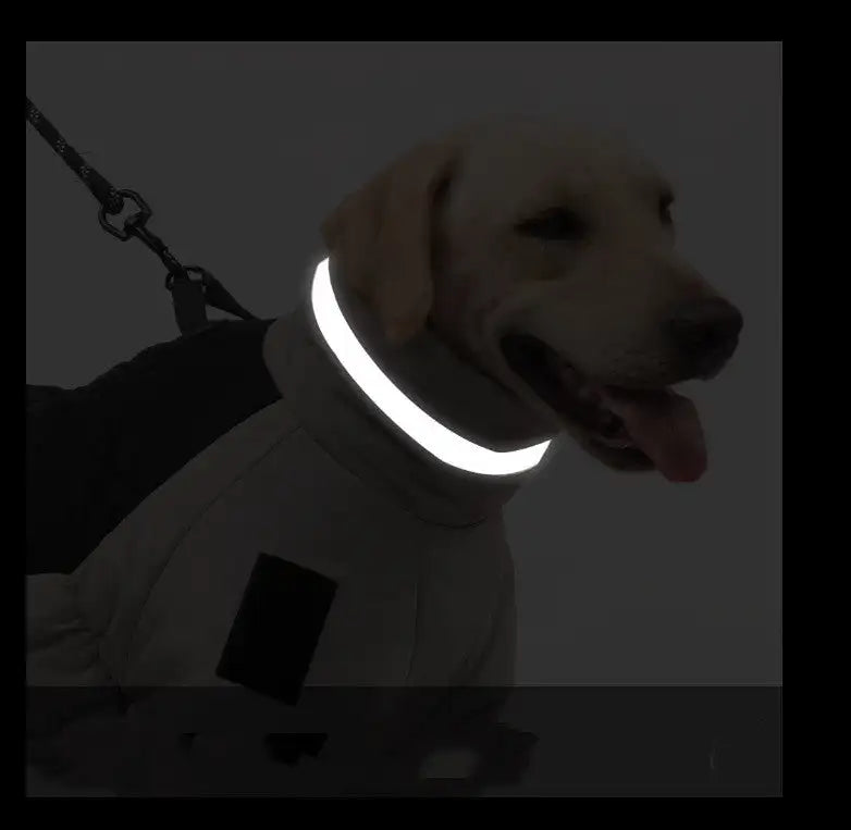 New Pet Dog Clothes Thickened With Reflective Warmth Pet Supplies - Lootquake