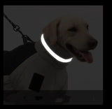 New Pet Dog Clothes Thickened With Reflective Warmth Pet Supplies - Lootquake