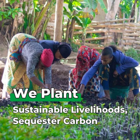 Plant 10 Trees for Our Journey – “Let Love Grow”-2