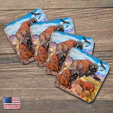 Buffalos Wooden Cork Coasters Gift Set of 4 by Nature Wonders - Nature Wildlife Decor  - 95217C-S4