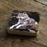 Wolf Wooden Cork Coasters Gift Set of 4 by Nature Wonders - Nature Wildlife Decor  - 95287C-S4