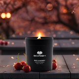 Luxury Candle Gift Set For Women, Strong Scented Candle Set, Black Candles Gifts, 3 Pack, 24oz, Burning 150 Hours