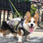 Pet Dog Clothes For Small Dogs Winter Warm Dog Hooded Coat Jackets Chihuahua Pug Outfits Puppy Cat Clothing - Lootquake