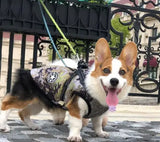 Pet Dog Clothes For Small Dogs Winter Warm Dog Hooded Coat Jackets Chihuahua Pug Outfits Puppy Cat Clothing - Lootquake