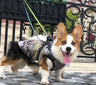 Pet Dog Clothes For Small Dogs Winter Warm Dog Hooded Coat Jackets Chihuahua Pug Outfits Puppy Cat Clothing - Lootquake