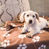 6 pack Cozy 24x28 Inch Paw Print Blanket for Dogs and Cats - Soft and Warm Bed Cover for Ultimate Comfort Christmas Gift
