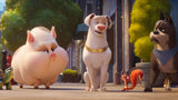 DC League of Super-Pets (DVD) - Lootquake