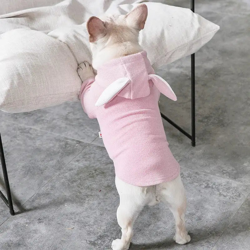 Dog Pet Clothes Spring And Autumn Clothing - Lootquake