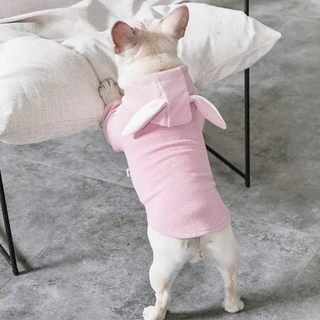 Dog Pet Clothes Spring And Autumn Clothing - Lootquake