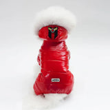 Pet Clothes Teddy Dog Clothes Pet Clothes - Lootquake