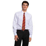 Adults Harry Potter Gryffindor Tie Costume Accessory