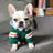 Pet sweater - Lootquake
