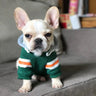 Pet sweater - Lootquake