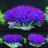 Fish tank landscaping aquarium accessories - Lootquake