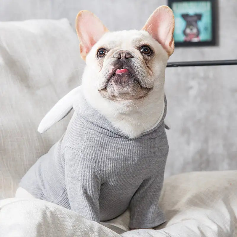 Dog Pet Clothes Spring And Autumn Clothing - Lootquake
