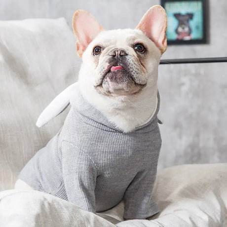 Dog Pet Clothes Spring And Autumn Clothing - Lootquake