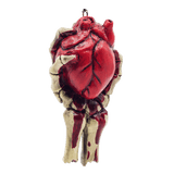Here's My Heart