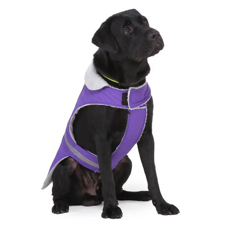 Pet clothes winter clothes night reflective pet clothes - Lootquake