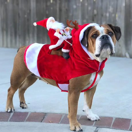 Dog Christmas Clothes Santa Claus Riding Deer - Lootquake
