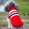 Dog clothes small dog corgi - Lootquake