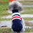 Dog clothes small dog corgi - Lootquake
