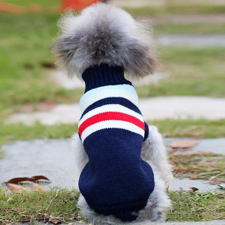 Dog clothes small dog corgi - Lootquake