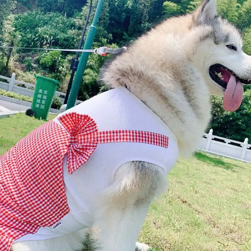 Dog Clothes Princess Dog Costume Labrador Golden Retriever Big Dog Clothes - Lootquake