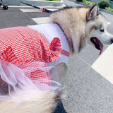 Dog Clothes Princess Dog Costume Labrador Golden Retriever Big Dog Clothes - Lootquake