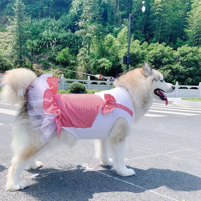 Dog Clothes Princess Dog Costume Labrador Golden Retriever Big Dog Clothes - Lootquake
