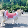 Dog Clothes Princess Dog Costume Labrador Golden Retriever Big Dog Clothes - Lootquake