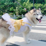 Dog Clothes Princess Dog Costume Labrador Golden Retriever Big Dog Clothes - Lootquake