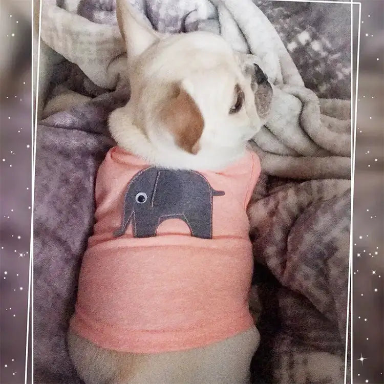 Pet Clothes Dog Clothes Pet Dog Clothes - Lootquake