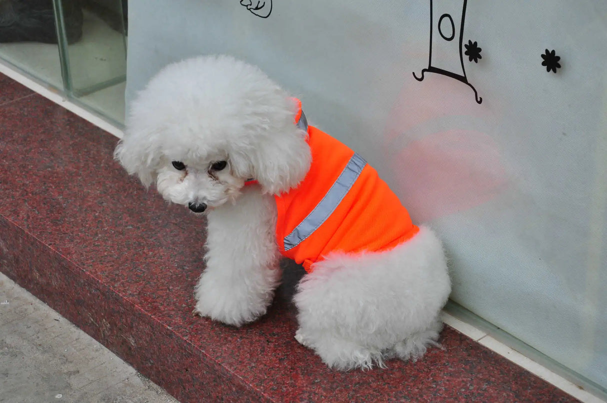 Summer Pet Clothing Dog Reflective Clothing Work Dog Safety Clothing - Lootquake