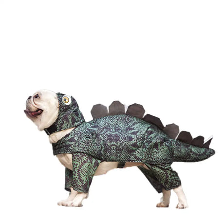Pet dinosaur clothes - Lootquake