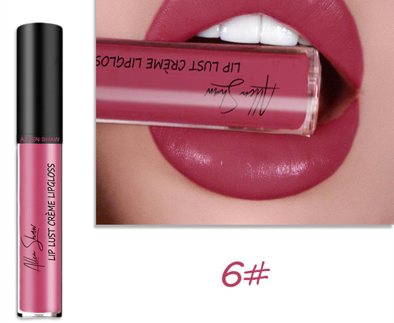 Silky Cream Lip Gloss Aliexpress Shopee Exclusive