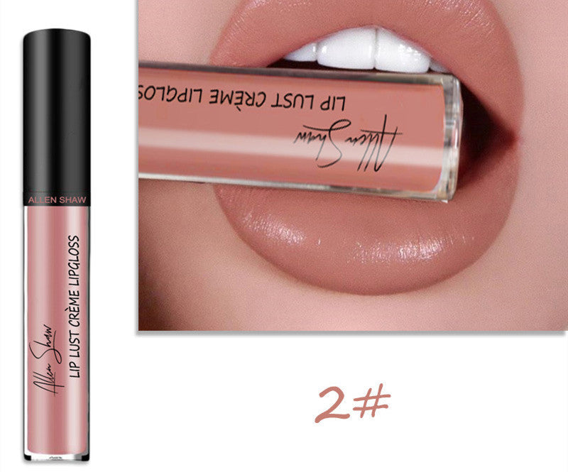 Silky Cream Lip Gloss Aliexpress Shopee Exclusive