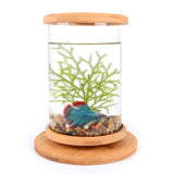 Small Office Glass Aquarium Bamboo Base Mini Fish Tank Decoration Fish Bowl - Lootquake