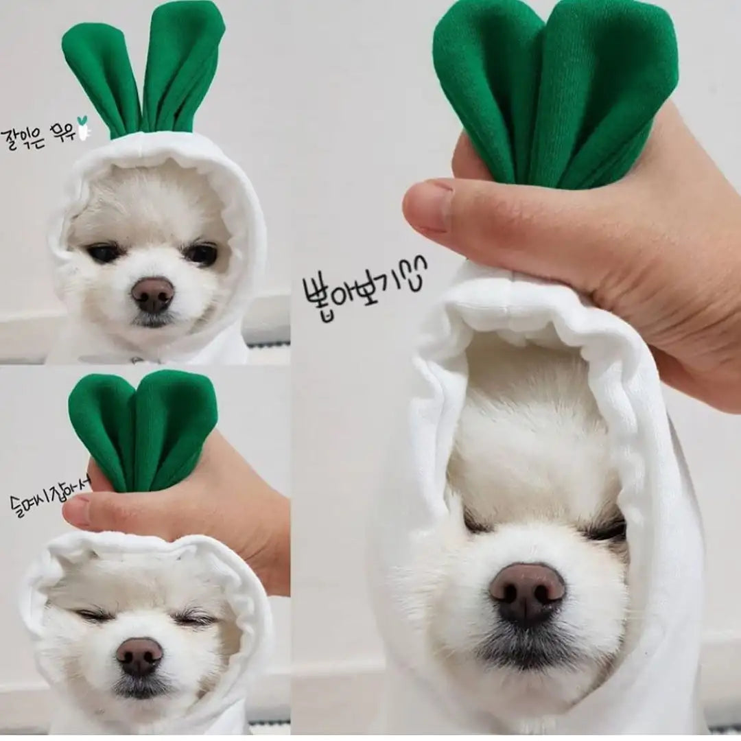 Cute Fruit Dog Clothes For Small Dogs Hoodies Winter Warm Fleece Pet Clothing Puppy Cat Costume Coat For French Chihuahua Outfit - Lootquake