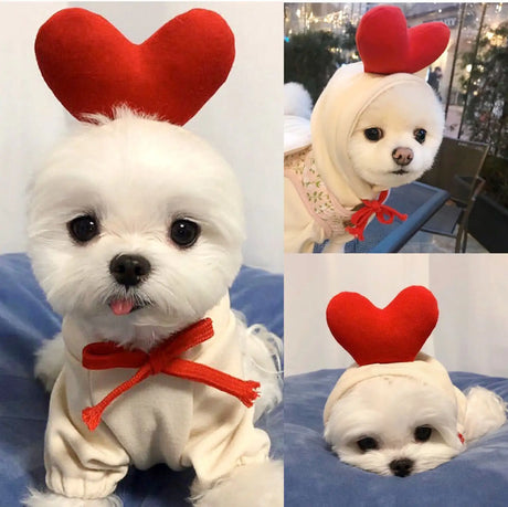 Cute Fruit Dog Clothes For Small Dogs Hoodies Winter Warm Fleece Pet Clothing Puppy Cat Costume Coat For French Chihuahua Outfit - Lootquake