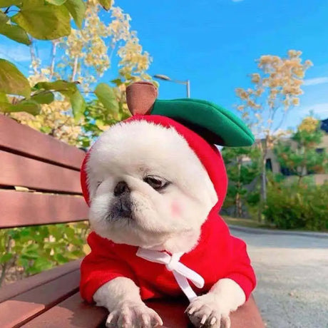 Cute Fruit Dog Clothes For Small Dogs Hoodies Winter Warm Fleece Pet Clothing Puppy Cat Costume Coat For French Chihuahua Outfit - Lootquake