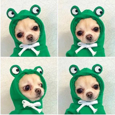Cute Fruit Dog Clothes For Small Dogs Hoodies Winter Warm Fleece Pet Clothing Puppy Cat Costume Coat For French Chihuahua Outfit - Lootquake