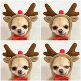 Cute Fruit Dog Clothes For Small Dogs Hoodies Winter Warm Fleece Pet Clothing Puppy Cat Costume Coat For French Chihuahua Outfit - Lootquake