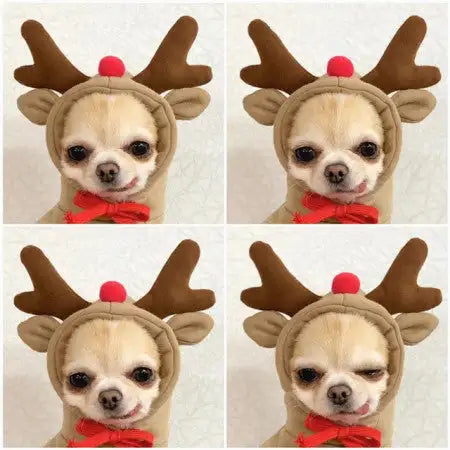 Cute Fruit Dog Clothes For Small Dogs Hoodies Winter Warm Fleece Pet Clothing Puppy Cat Costume Coat For French Chihuahua Outfit - Lootquake