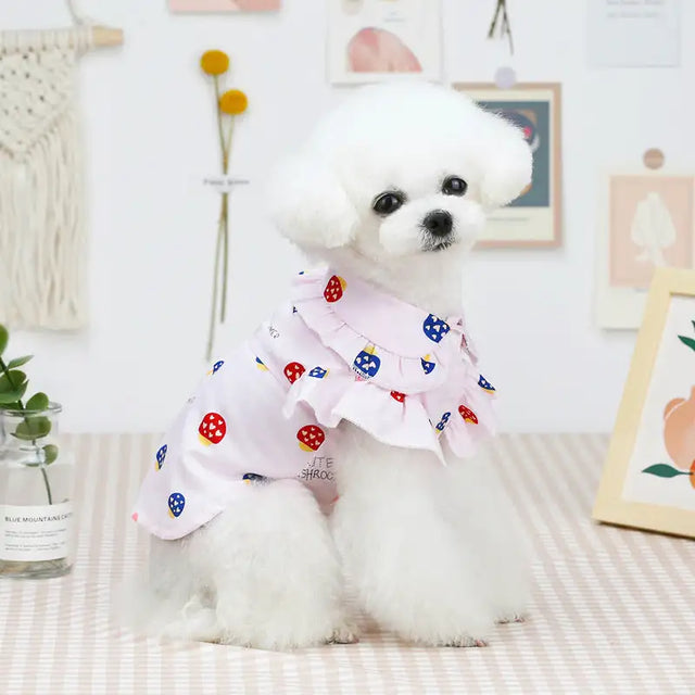 Pet Clothes Puppy Clothes Thin Pet Clothes Teddy Dog Cat Clothes Spring - Lootquake