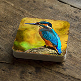 Bird Wooden Cork Coasters Gift Set of 4 by Nature Wonders - Nature Wildlife Decor  - 95298C-S4