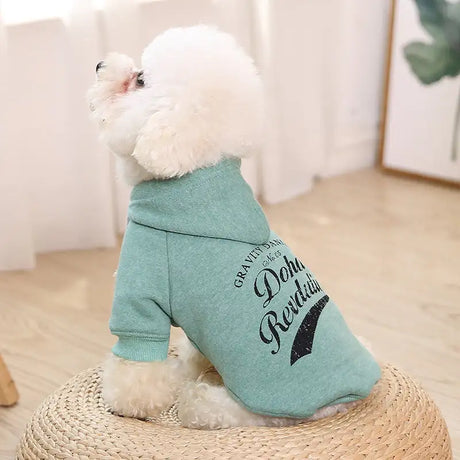 clothes for pets - Lootquake
