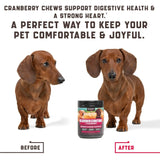 180 Cranberry UT Health Dog Chews
